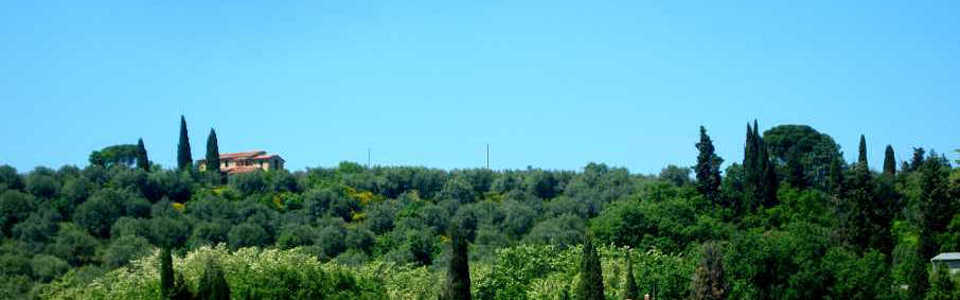 Photoalbum Tiravento a Passignano sul Trasimeno