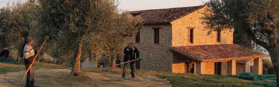 Photoalbum Tiravento a Passignano sul Trasimeno