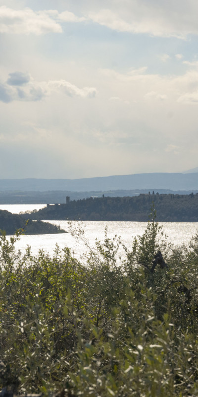 17. isole fotocamera babbo