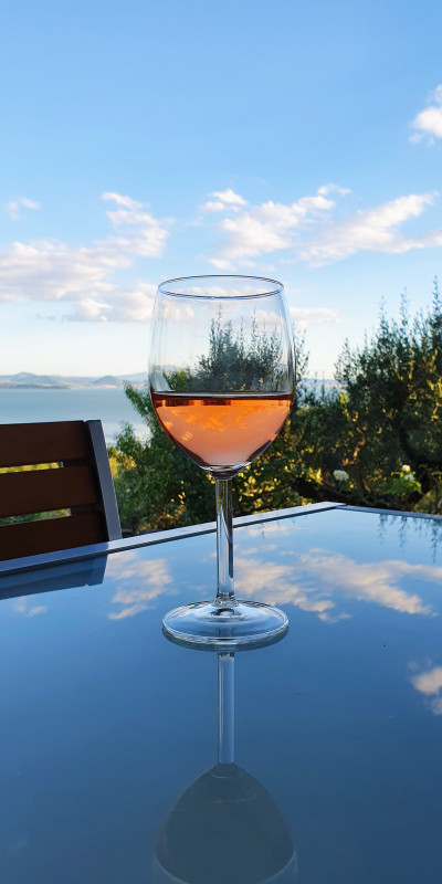 3. bicchiere vino 