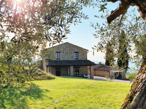 6. casa da ramo ulivo giorno