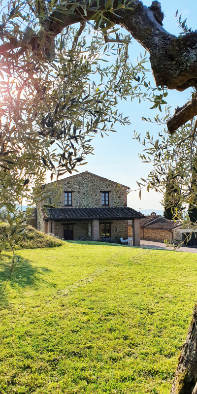 6. casa da ramo ulivo giorno