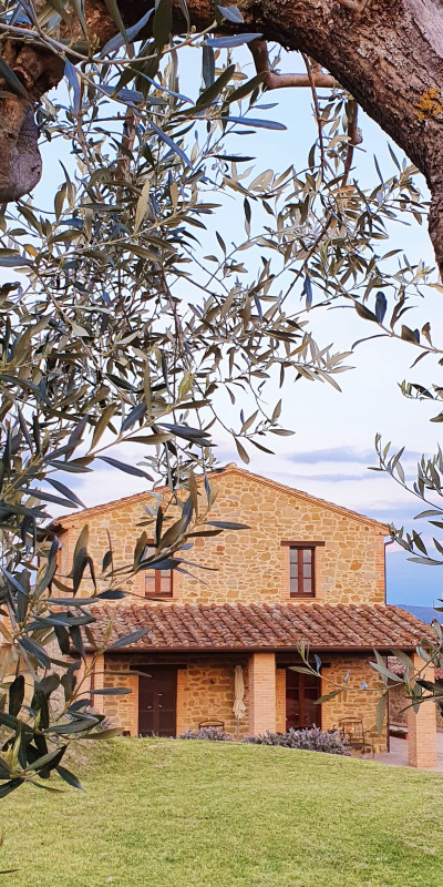 7. casa da ramo ulivo