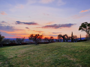 9. cielo rosso da alfa tramonto