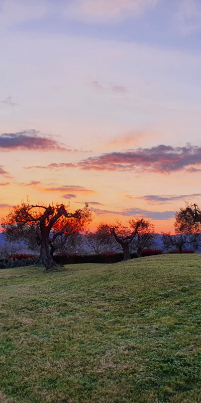 9. cielo rosso da alfa tramonto