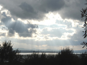dscf5731 