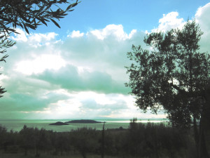 dscf5737 