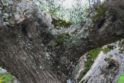 dscf5745 