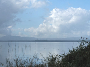dscf5764 